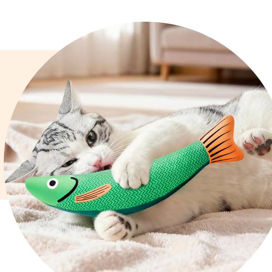 Chat qui attaque le poisson vert Pounce