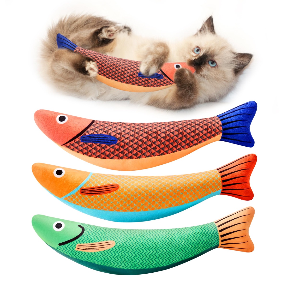 Le trio de poissons Pounce avec un chaton